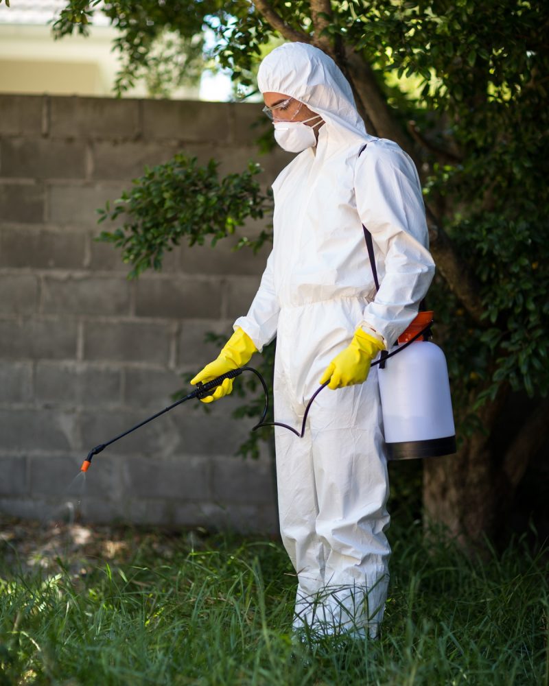 Man spraying insecticide on grass in lawn Man spraying insecticide on grass in lawn